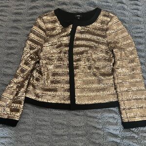 Express Tipped Sequin Striped Jacket